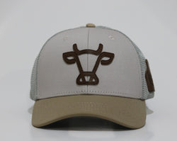 Brown Swiss