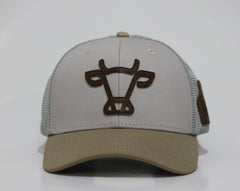 Brown Swiss